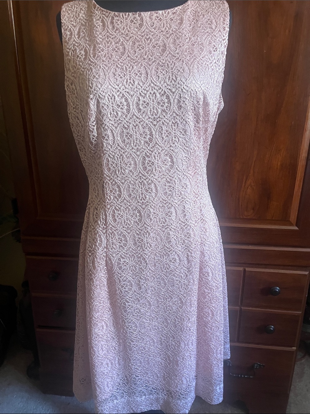 eva mendes for New York & Company Light Pink Lace Midi Dress